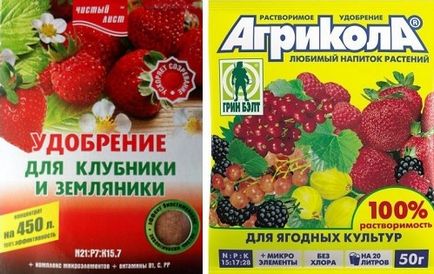 Мінеральні і органічні підгодівлі для суниці, квітка в будинку