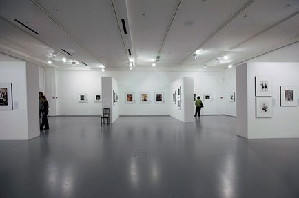 Muzeul de Artă Multimedia din Moscova (MMAM) de pe insulă
