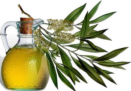 Remedii populare pentru papilome în tratamentul corpului și îndepărtarea uleiului de arbore de ceai