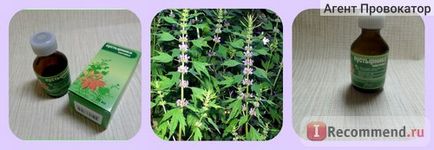 Tinctura hippocrates motherwort - 