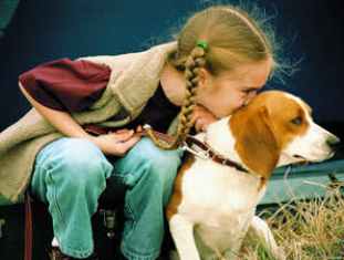 Comunicarea cu animalele este necesară și utilă pentru copii