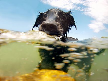 Áttekintés a legnépszerűbb tartozékok GoPro kamera