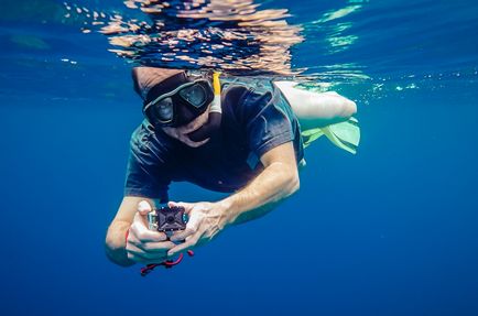 Áttekintés a legnépszerűbb tartozékok GoPro kamera