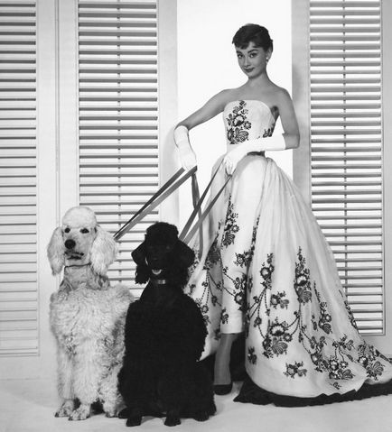 Audrey Hepburn și animale (40 fotografii)