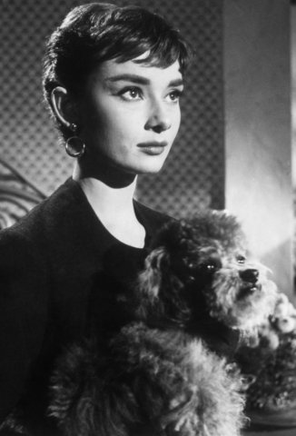 Audrey Hepburn és az állatok (40 fotó)