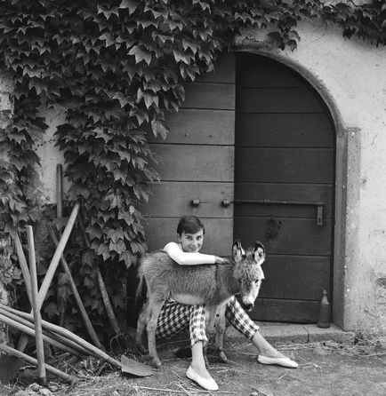 Audrey Hepburn și animale (40 fotografii)