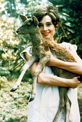 Audrey Hepburn és az állatok (40 fotó)