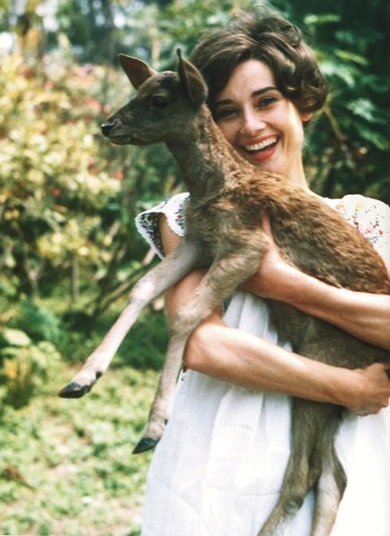 Audrey Hepburn și animale (40 fotografii)