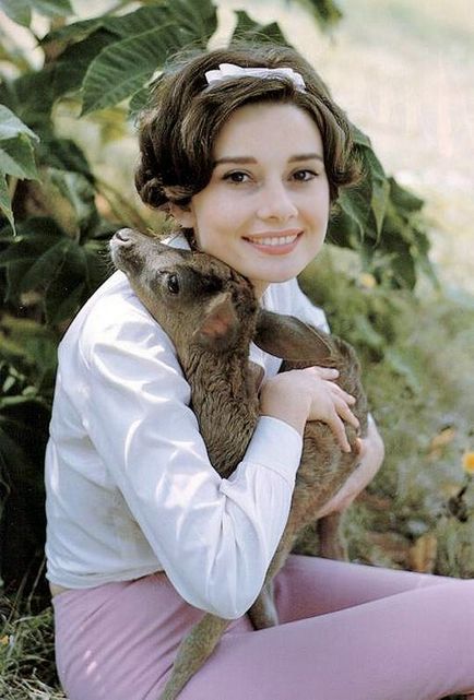 Audrey Hepburn și animale (40 fotografii)