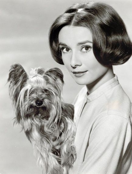 Audrey Hepburn és az állatok (40 fotó)