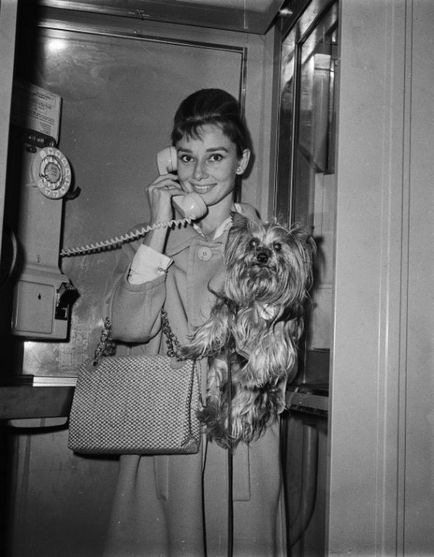 Audrey Hepburn și animale (40 fotografii)