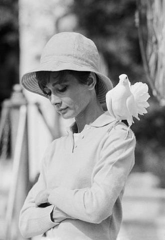 Audrey Hepburn și animale (40 fotografii)