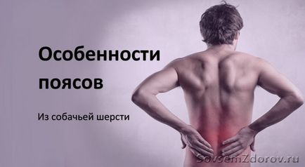 Особливості поясів з собачої шерсті - блог