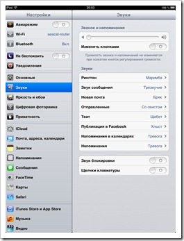 Primii pasi cu blogul ipad, seacat