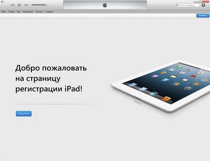 Перші кроки з ipad, seacat - s blog