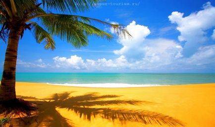 Пляжний відпочинок види курортів і пляжів
