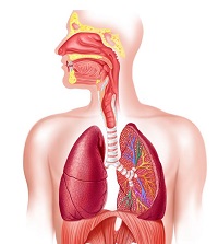 Pneumoconioză ce este, simptome, tratament, radiografie