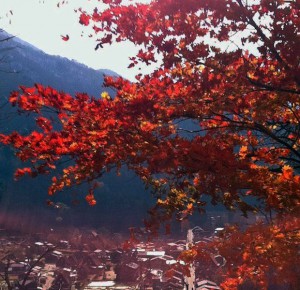 Чому осінь - найкраща пора року в Японії - новини з Японії