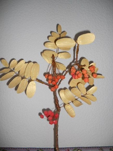 Artizanat de fructe de padure rowan - rowan cu mânere proprii, din cenușă de munte