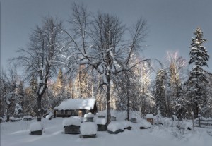 Підготовка бджіл до зимівлі, пасіка