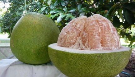 Proprietăți utile ale pomelo, o viață sănătoasă