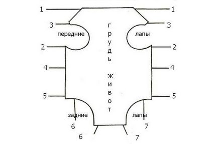 Попона для кішки своїми руками