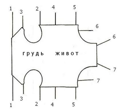 Попона для кішки своїми руками