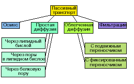 Потік речовини, растворяемогов біомімбране