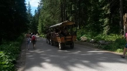 Gyalogtúra Lake Halas-tó Zakopanéban, a világ számunkra (mennyit) Gyalogtúra Lake Halas-tó Zakopanéban, a világ számunkra