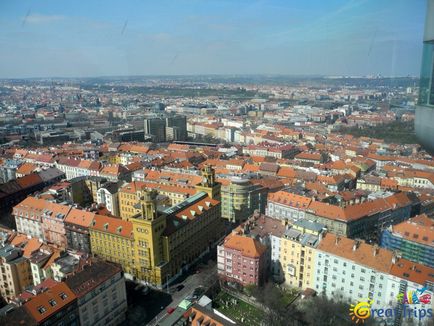 Praga din punctul de vedere al păsărilor (partea a 2-a) Turnul de televiziune al lui Zizkov - călătorii minunate