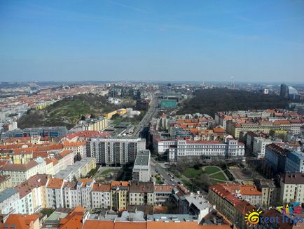 Praga din punctul de vedere al păsărilor (partea a 2-a) Turnul de televiziune al lui Zizkov - călătorii minunate