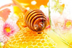 Alegerea Sfaturi de cumpărare miere dreapta