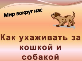 Презентація китайської казки «як собака з кішкою ворогувати стали»