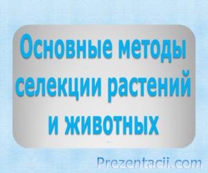 Представяне - селекция на животни - изтеглите презентацията на биологията