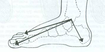 Utilizarea acupuncturii pentru tratamentul sciaticii (aplicare) Utilizarea acupuncturii pentru tratamentul sciaticii