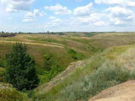 Parc Nature Shcherbakovsky descriere, natura, atracții, cum să obțineți