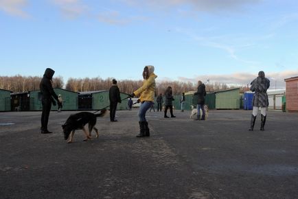 Kennel Khimki Moszkva, szuper-dog