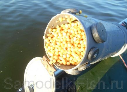 Retete dovedite și modalități de hrănire a crapului crucian - pescuit auto-făcut pentru propriile mâini