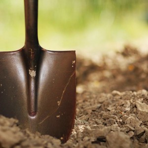 Cinci moduri de a stăpâni un teren - o grădină fără griji