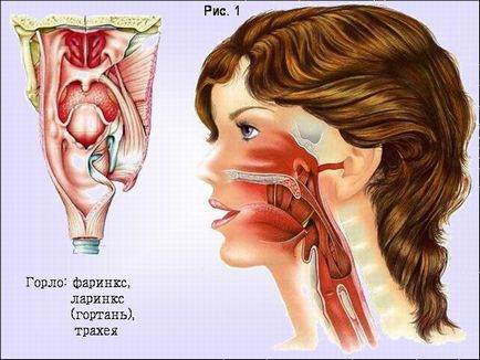 Imagini de cancer de lacrimă