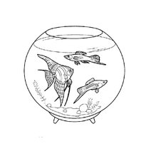 Colorarea acvariului cu pește