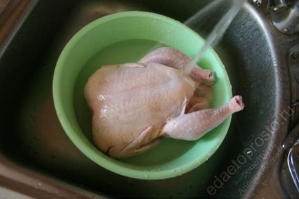 Taierea găinilor cu fotografii pas cu pas (34 fotografii)