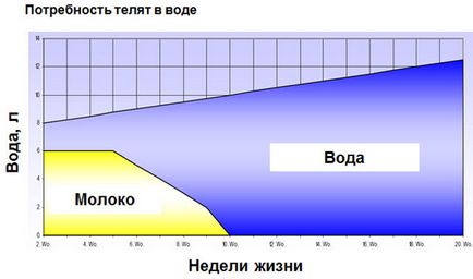 Gyorsulás „heg takarmány borjak megfelelően