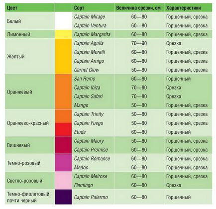 Різнобарвні кали як зробити вибір