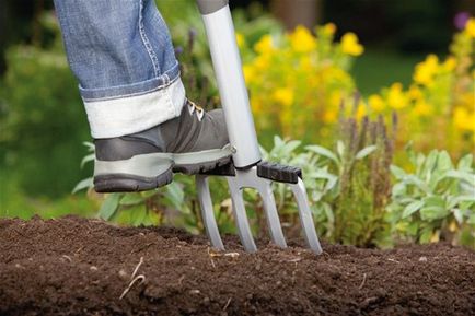 Найнеобхідніші садові інструменти та інвентар для роботи на ділянці
