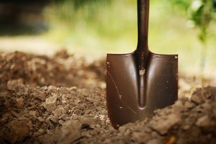 Cele mai necesare unelte și unelte de grădină pentru a lucra pe site