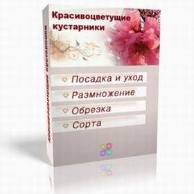 Secretele înfloririi regulate a lui Cleavia, casa noastră și grădina sunt casa noastră și grădina