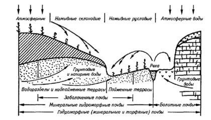 Septice pentru un nivel ridicat de apă subterană - cerințe, tipuri, instrucțiuni pentru crearea propriilor mâini