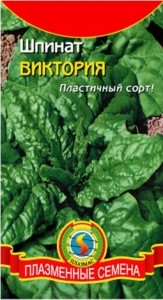 Шпинат сорти різних термінів дозрівання посадка і догляд