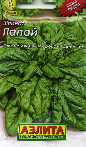 Шпинат сорти різних термінів дозрівання посадка і догляд